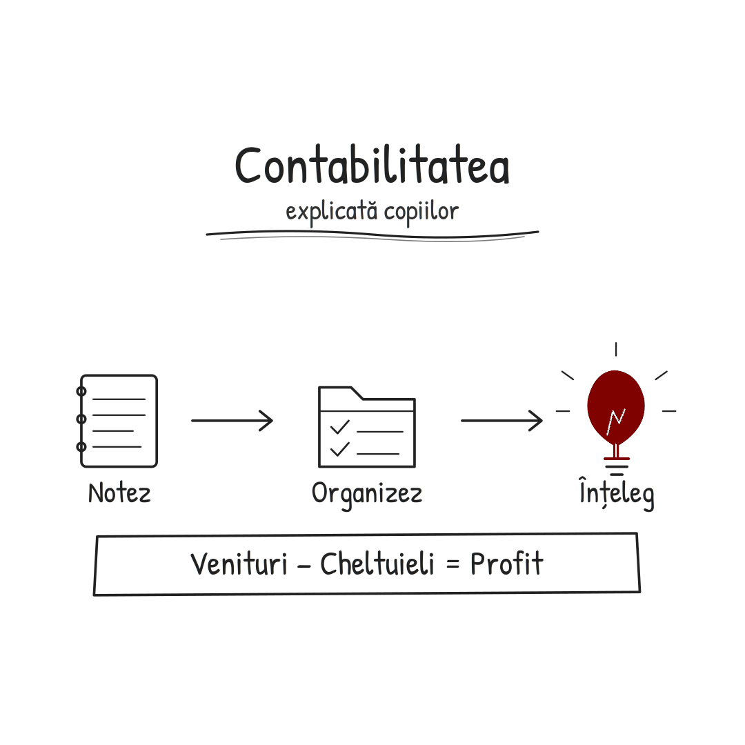 contabilitatea explicată copiilor - educatie financiara pentru copii 9+